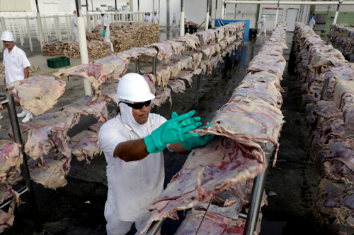 Pela primeira vez, exportação brasileira de carne bovina em julho bate US$ 1 bilhão
