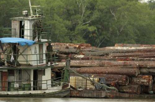 EUA denunciaram exportação ilegal de madeira pelo Brasil, mas foram ignorados