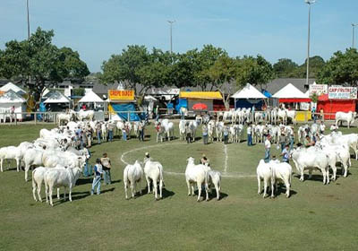 Expoagro 2012 começa na próxima sexta-feira em Maceió