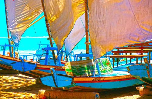 Exposição fotográfica no Parque Shopping chama a atenção para a ameaça de extinção das jangadas