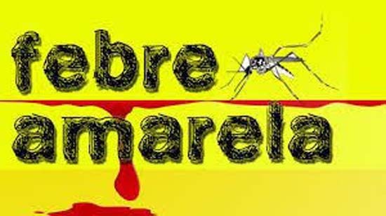 O Brasil estaria preparado para uma epidemia de febre amarela?