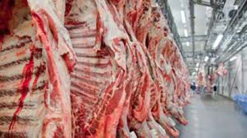 Frete para a China dispara e afeta exportação de carne