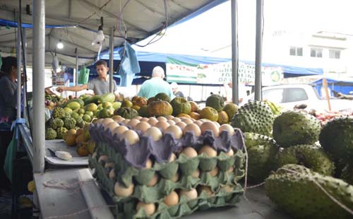 26ª Feira da Fetag acontece na sexta-feira (1º) e sábado (2)