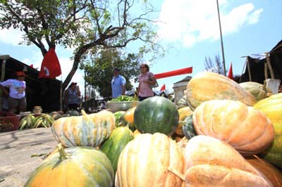 Maceió: MLST realiza feira da reforma agrária