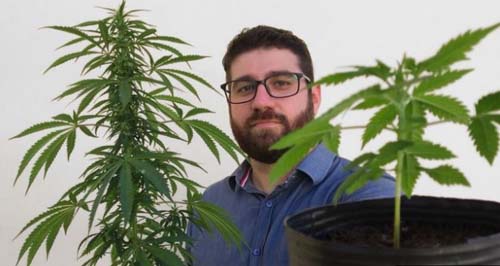 A 'legalização silenciosa' da maconha medicinal no Brasil