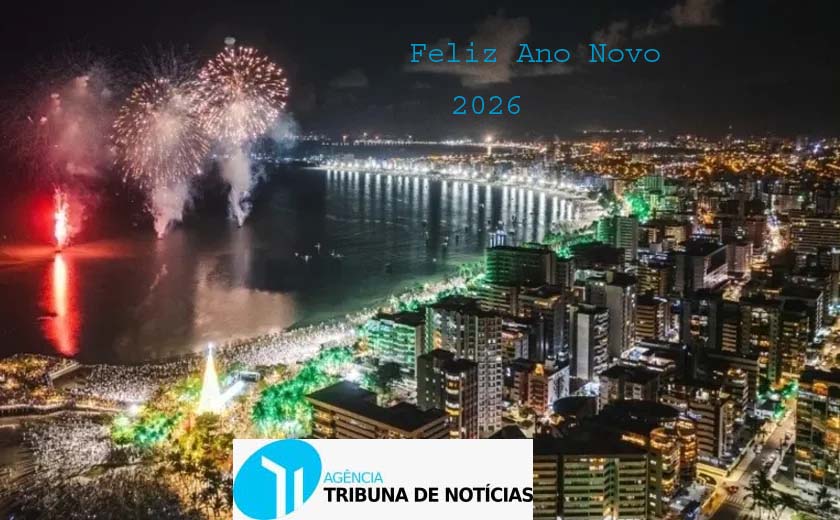 Feliz Ano Novo. Obrigado por ser Nosso Leitor