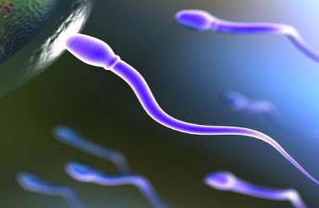 Guardar celular no bolso da calça pode afetar fertilidade masculina 