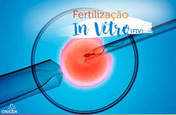 Quarta Turma do STJ decide que plano de saúde não é obrigado a pagar tratamento de fertilização