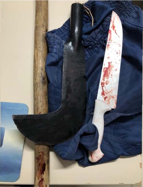 Filho mata pai no município de Viçosa por causa de R$ 2, revela delegado