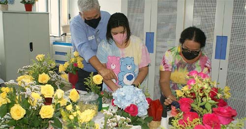 Projeto usa flores para ajudar na reabilitação de pacientes psiquiátricos