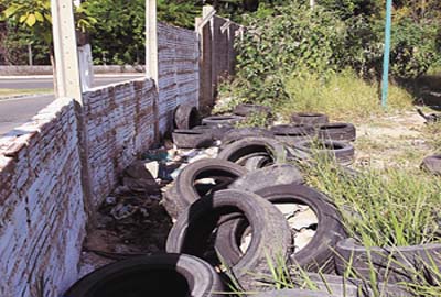 Casos de dengue aumentam 211,43% em Alagoas