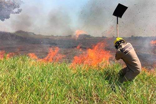 Amazonas registra queda histórica de focos de calor em 2025, redução de 82%