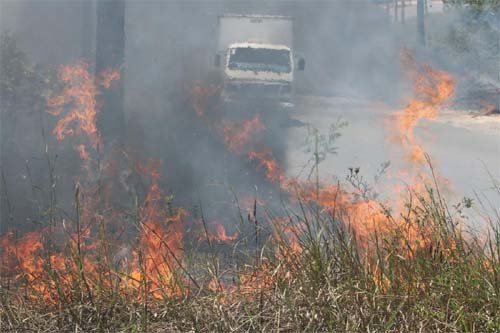 Número de focos de incêndio no Amazonas dispara em agosto e qualidade do ar piora