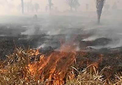 Incêndio atinge área de mata próxima a tubulações da Braskem