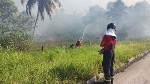 Fogo atinge terreno e forma vários focos de incêndio no Trevo do Polo, em Marechal Deodoro