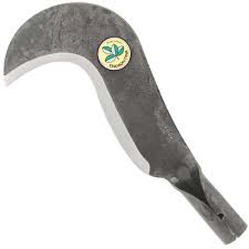 Homem é ferido por golpe de foice e suspeitos fogem em Paripueira