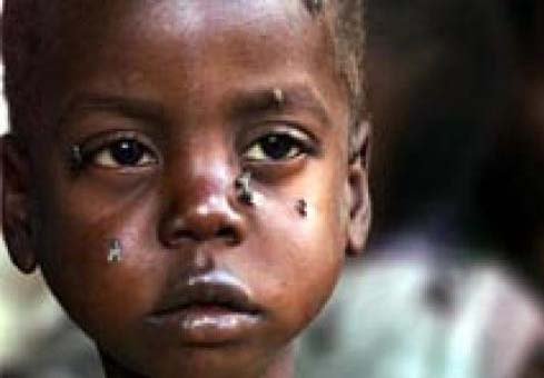 ''Uma em cada sete pessoas no mundo vai para a cama com fome'', diz FAO