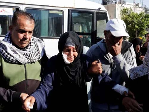 Uma em cada três pessoas passa fome na Faixa de Gaza