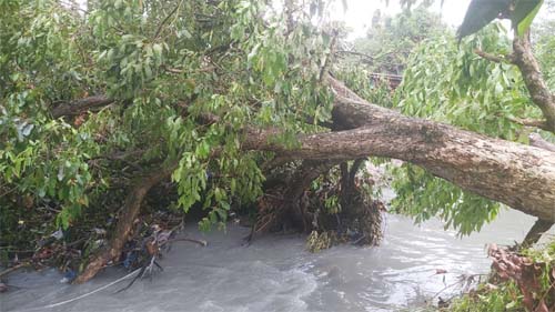 Forte chuva causa desabamentos e acidentes em Manaus  