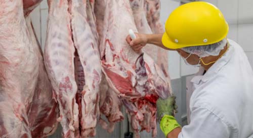 Especialista: redes europeias boicotando carne do Brasil é mais protecionismo que questão ambiental