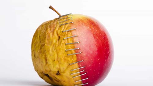 Não coma fruta parcialmente podre, alerta OMS