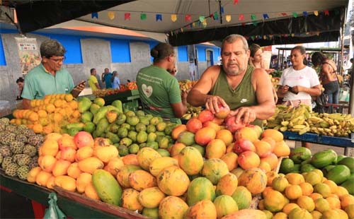 Preço das frutas aumenta e pesa no bolso do maceioense