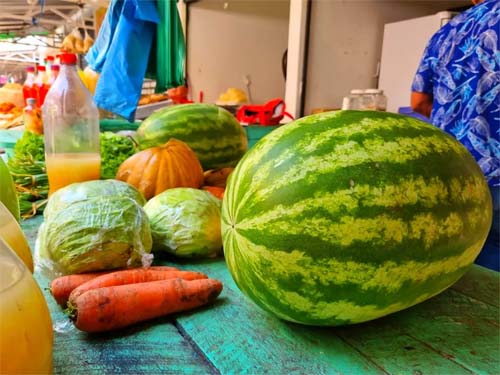 Ingestão de água, frutas, legumes e verduras ajuda a evitar desidratação durante o calor