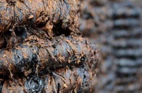 Veículo com carga de 500kg de fumo é roubado em Arapiraca