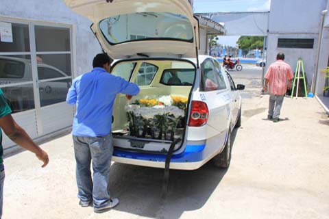 Serviço funerário: saiba quanto custa morrer em Alagoas