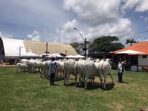 Negócios na Expoagro registram alta de 30% e geram R$ 10,4 milhões