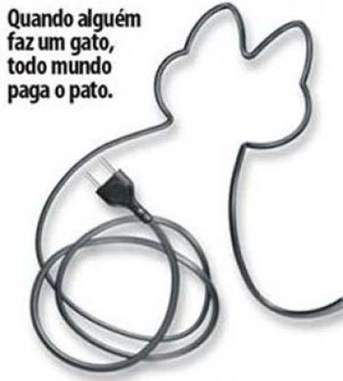 Primeiro relatório da Equatorial Energia revela que mais de 50% dos alagoanos são “gatunos”