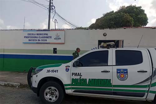 Gavião ataca e coloca em risco crianças de escola municipal, enquanto órgãos ambientais recusam resgate de animal