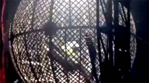 Homem de 42 anos é detido após tentativa de invasão e fica trancado dentro de esfera de motociclistas no circó