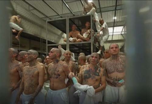 Célula Criminal Venezuelana Replica Facções Nacionais e Expande Presença no Território Brasileiro