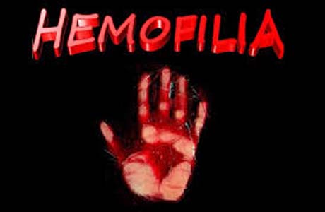 Conheça os tipos de hemofilia e veja como enfrentar a doença