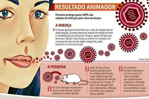 Pesquisadores norte-americanos desenvolvem vacina contra a herpes genital