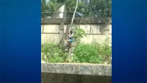 Homem de 19 anos perde a vida após invasão a recinto de leoa em zoológico na Paraíba