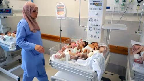 OMS pede proteção para médicos e pacientes sitiados em hospital em Gaza