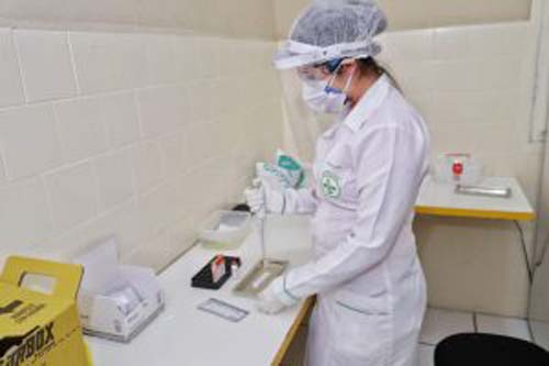 Em Palmeira: 10% dos pacientes submetidos a testes são positivos para Covid-19