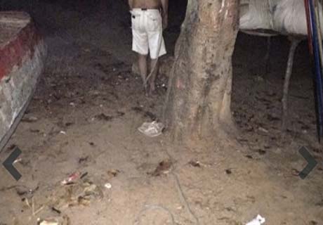Idoso de Arapiraca é encontrado enforcado em Piaçabuçu