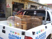 União dos Palmares
