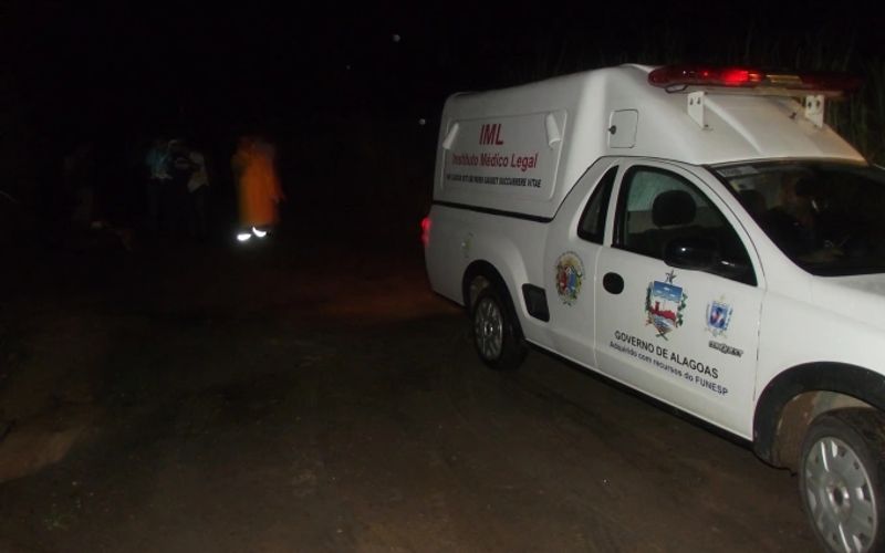 Vítima de atropelamento, idoso de 63 anos é encontrado morto às margens da BR-316