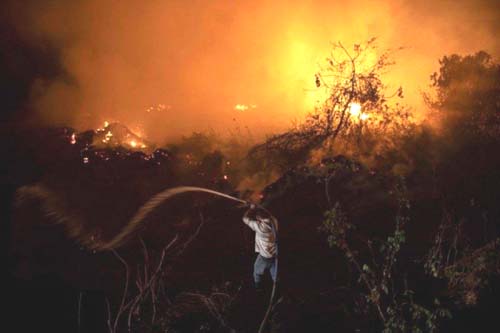 Ministério da Economia anuncia remanejamento de R$ 60 milhões ao Meio Ambiente