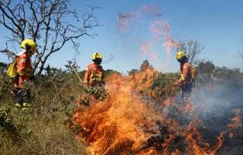 Incêndios aumentam 115% no DF, nos últimos dois meses