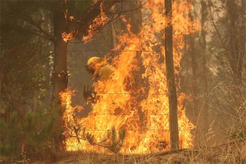 Chile reporta 303 incêndios em todo o país, 82 dos quais descontrolados