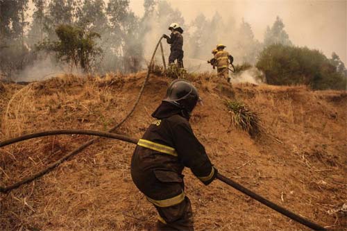 50 detidos no Chile em ligação com os incêndios