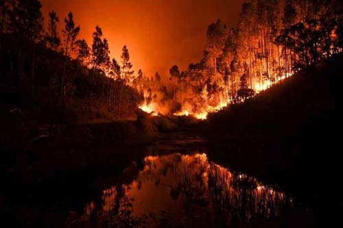 2017, o ano que entrará para a história como o dos extremos climáticos