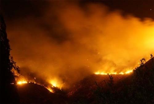 Sobe para 112 o número de mortos em incêndios florestais no Chile