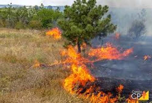 Incêndio florestal obriga à retirada de 3.400 pessoas no centro da China