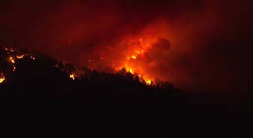 Incêndio florestal na Espanha obriga pessoas a deixar suas casas e animais